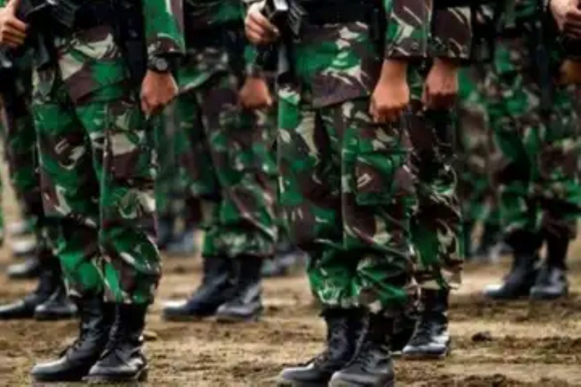 Ilustrasi Tentara Nasional Indonesia (TNI).