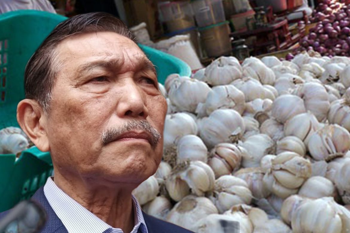 Luhut Minta UGM Teliti Bawang Putih, Jangan Ijazah Aja yang Diributin!